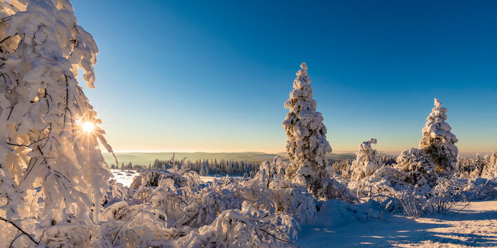 Germany, Baden Wurttemberg, Black Forest at sunrise in winter