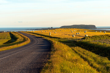 Deserted country road running through grassy fields to the ocean warmly lit by summer midnight sun...