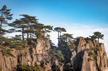 Crédence de cuisine en verre imprimé Monts Huang View of the clouds and the pine tree at the mountain peaks of Huangshan National park, China. Landscape of Mount Huangshan of the winter season.