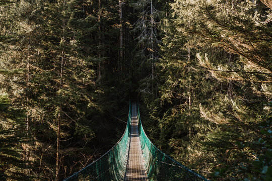 West coast sunrise and suspension bridge trail