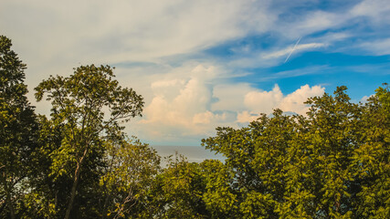 Landscape with trees and sea and sky in the background