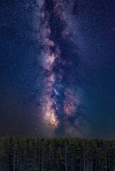 Starry Night Sky Milky Way Galaxy Photo With Trees Vertical