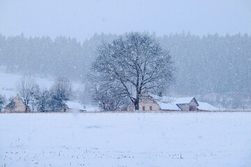Sous la neige