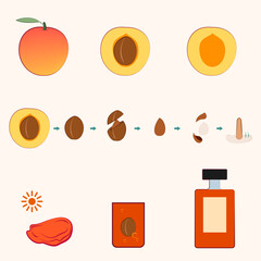 アプリコットコレクション_イラレブック