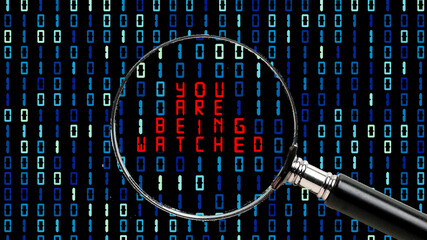 Internet data surveillance and personal privacy