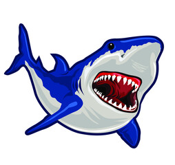 blue shark realistic cartoon in vector