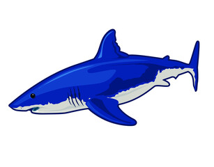 blue shark realistic cartoon in vector