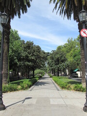 Naklejka premium Boulevard Oroño, Rosario, Argentina