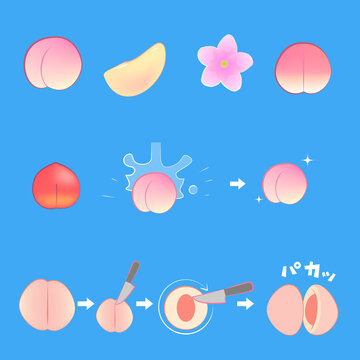 桃のイラストコレクション_Peach Collection