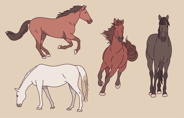 The movements of a running horse.