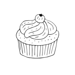 Vector hand drawn doodle sketch cupcake isolated on white background