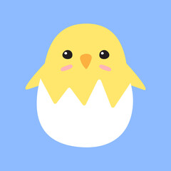 Vector flat cartoon doodle chick in egg shell isolated on blue background