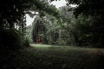 Morgen in Wonderland