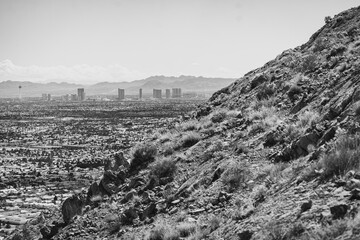 Vegas Skyline