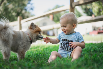 Toddler with Dog