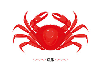 Boiled red crab top view isolated on white background. Seafood, delicacy. Vector illustration, cartoon, simbol, sign, icon, logo, sticker for poster, label, packaging