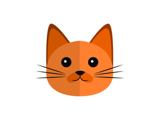 cute orange cat