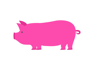 pink piggy bank