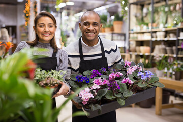 Positive flower shop workers holding pots of flowers