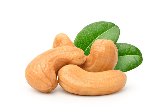 Close-up Roasted cashew nuts with leaves isolated on white background. Clipping path.