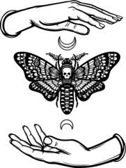 Human hands hold a moth the Dead Head. Symbols of the moon. Mysticism, esoteric, sorcery. Coloring book. Vector illustration isolated on a white background.