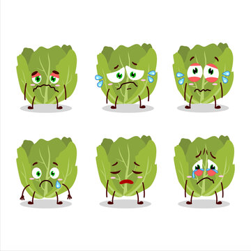 Romain letuce cartoon character with sad expression