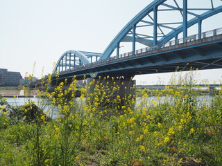 the tamagawa river, a major river in japan