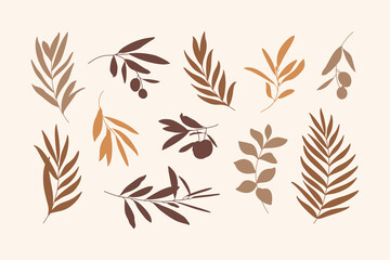 Set of Leaves and Branch. Silhouette Palm leaf and Olive Branch In a Simple Style. Vector Illustration for printing on t-shirt, Web Design, beauty Salons, Posters, creating a logo and Patterns