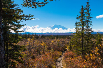 dramatic photo of Mt. McKinley in autumn inside Denali national Park in Alaska.