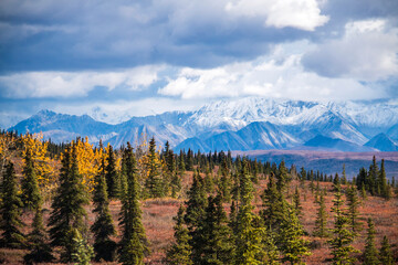 dramatic snow capped Alaskan mountain range inside the Denali National Park in Alaska taken during autumn.