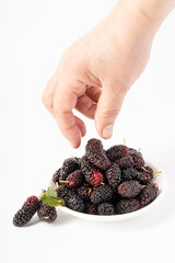 Fresh mulberries on pure white background