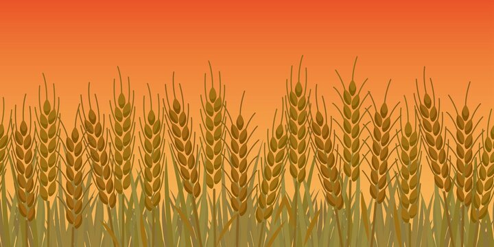 10 092 Best 麦 Images Stock Photos Vectors Adobe Stock