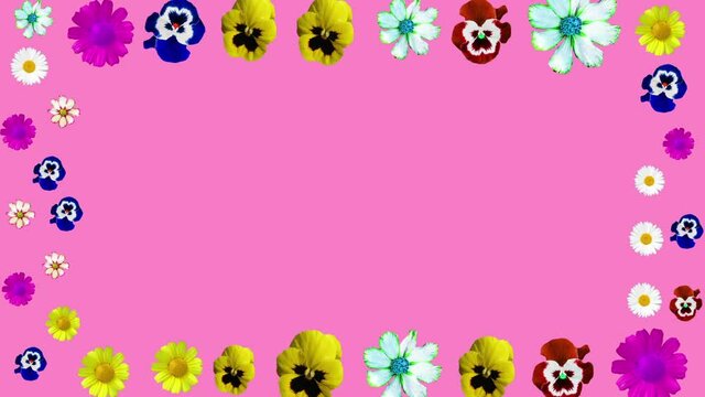 frame from various flowers on a pink background. minimalistic presentation form, text, corporate identity. Support for name, logo, letters. flower shop. modern design