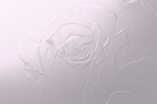 Pink metallic background with Rose relief