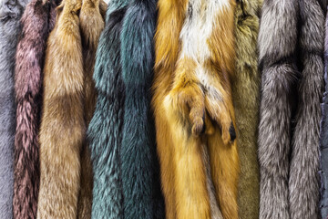 natural fur skins of different shades and colors