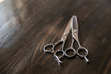 美容師のイメージ写真　ハサミ
