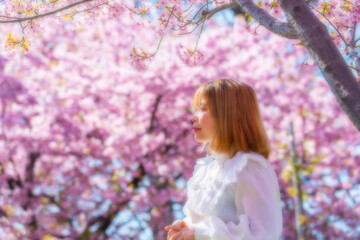 Fototapeta premium 河津桜と若い女性 