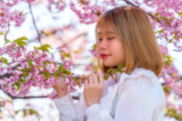 Fototapeta premium 河津桜と若い女性 