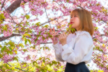 Naklejka premium 河津桜と若い女性 