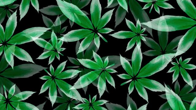 Cannabis leaf background animation
