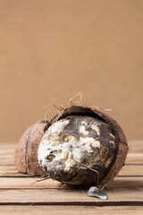 Ugly coconut with mold on the coconut pulp close-up on a blurry background with a copy space. Vertical orientation.