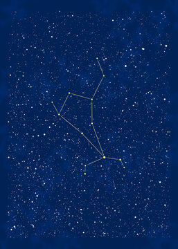 春の星座：うしかい座と周辺の星