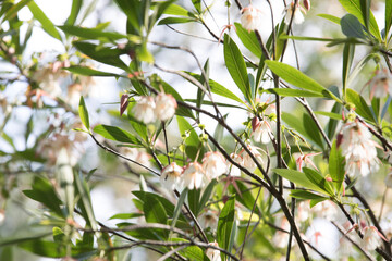 bird on a branch