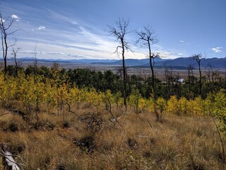 Autumn in the mountains