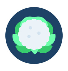 Cauliflower Vector Icon