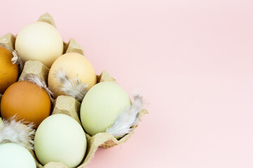 Close up view of raw multicolored chicken eggs in ovum on pink background