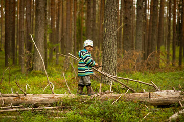a three-year-old boy plays in the woods, selective focus