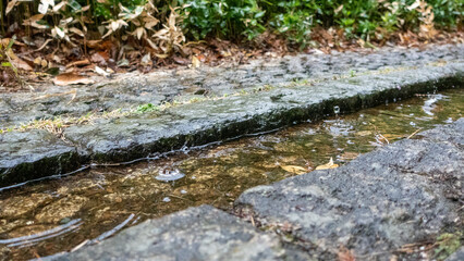 Fototapeta premium 公園の水路に雨が降る風景。 ウォータークラウン