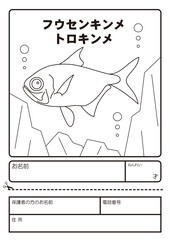キンメダイ　イラスト　ぬりえ　応募用紙