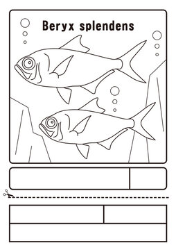 156 Best 深海生物images Stock Photos Vectors Adobe Stock 156 Best 深海生物images Stock Photos Vectors Adobe Stock